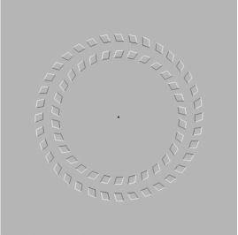 Pinna and Brelstaff illusion